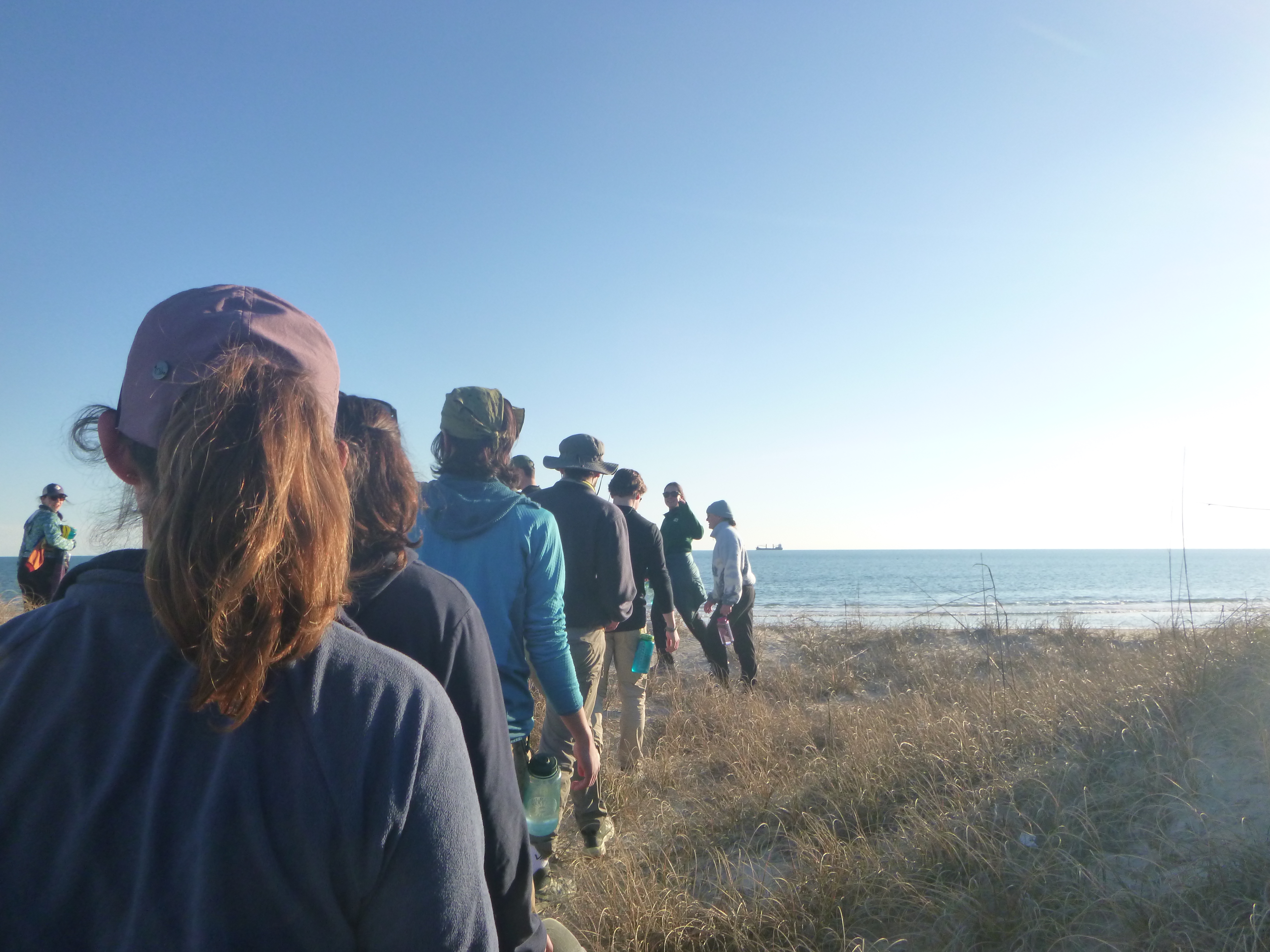 Staff explores the dunes.